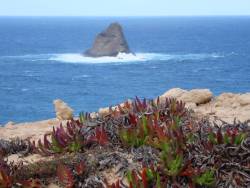 Isla Da Fontedaria