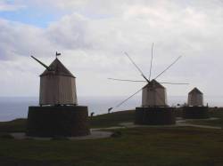 Windswept mini windmills