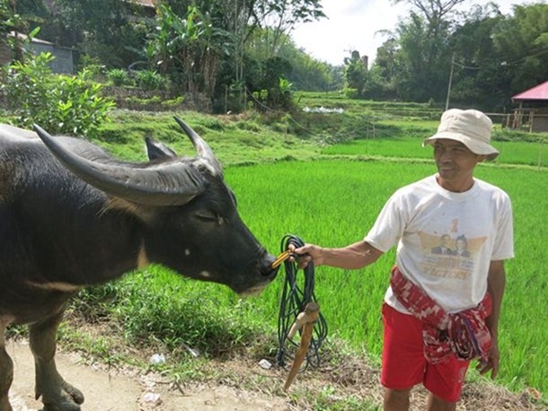 m_Tana Toraja 024