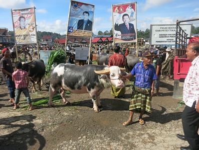 Tana Toraja 131