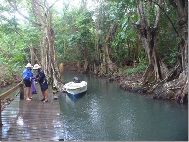 m_Indian River, Dominica-013