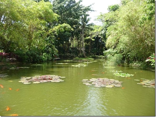 m_Jardin Botanique, Deshaies, Guadaloupe-001