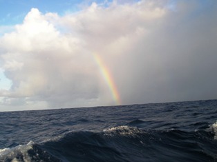 Rainbow Squall Day 14