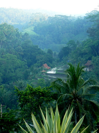 The view across the valley from our room