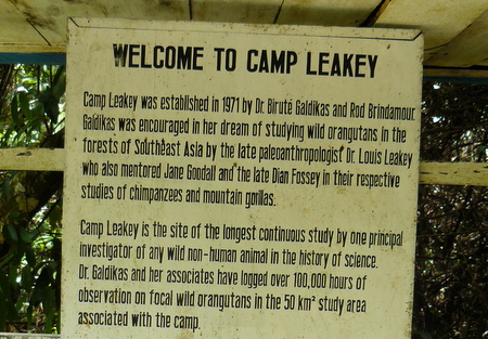 Camp Leakey