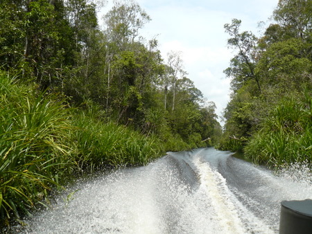 A fast boat up small rivers.  Exhilarating.