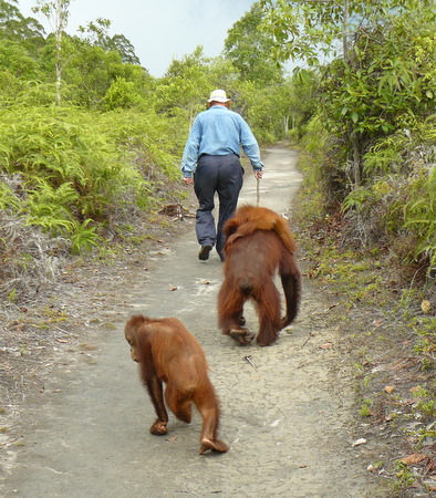 Barry leading the field