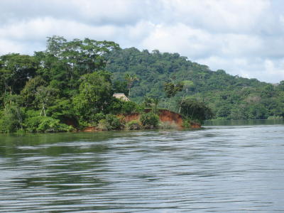 Lush vegetation on a tranquil lake.