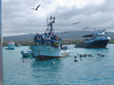 A neighbouring fishing boat.  But there is a tale to tell.