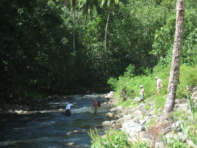 Crossing the stream.