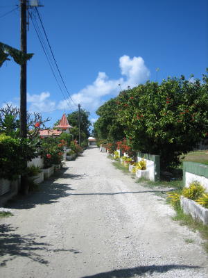 A pretty village street at Manihi.