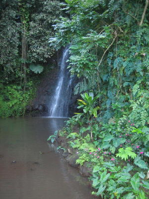 A pretty little waterfall seen on our island trip.