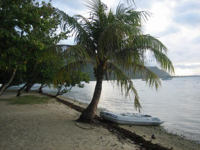 JJ Moon's dinghy under a palm