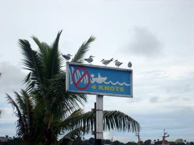 4 knots, 5 birds at the entrance to the club marina.