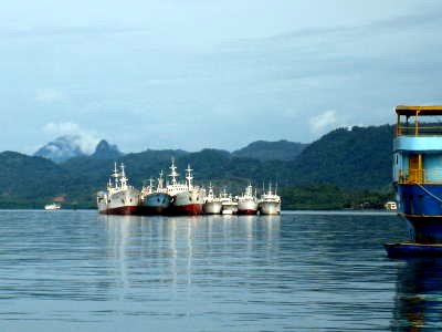 A raft of vessels, Fiji