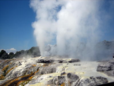 Hot geysers near Rotorua