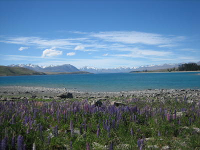 Lake Tekapo