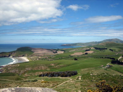 Otago peninsula