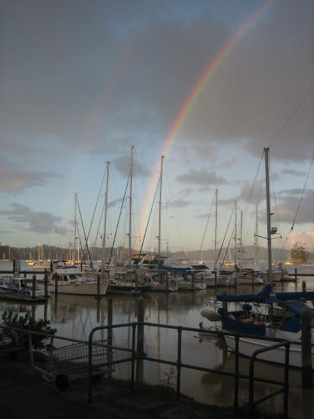 Rainbow looking out at the boats in the marina