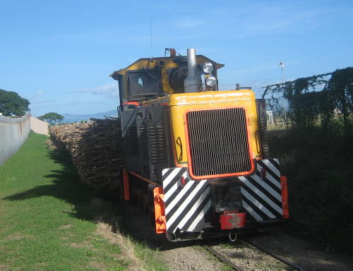 The sugar cane train