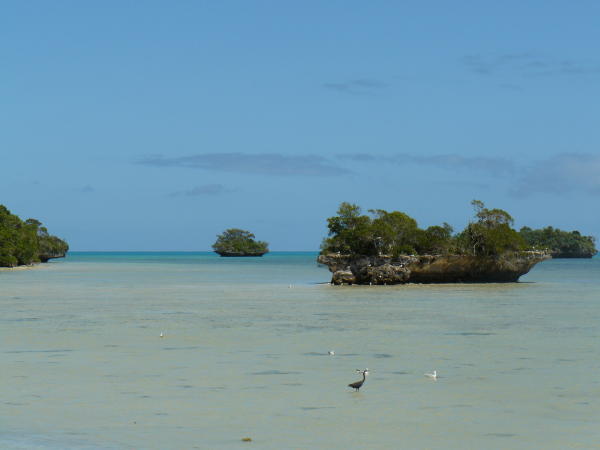 A typical island scene