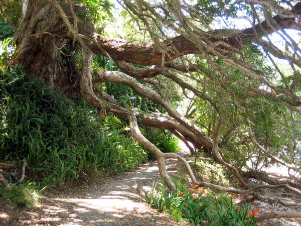 Along the shore path