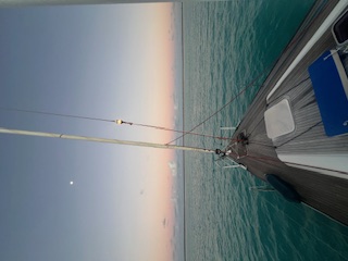 image8.jpeg