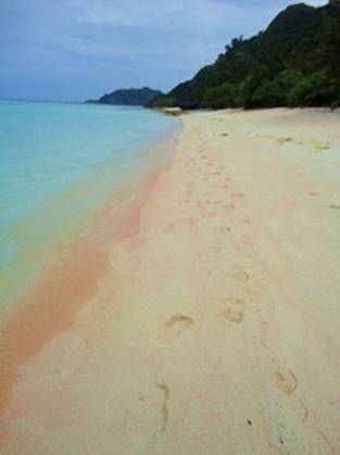 Pink Sand beach.jpg