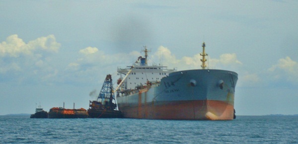 DSC07542 unloading iron ore into ship.JPG