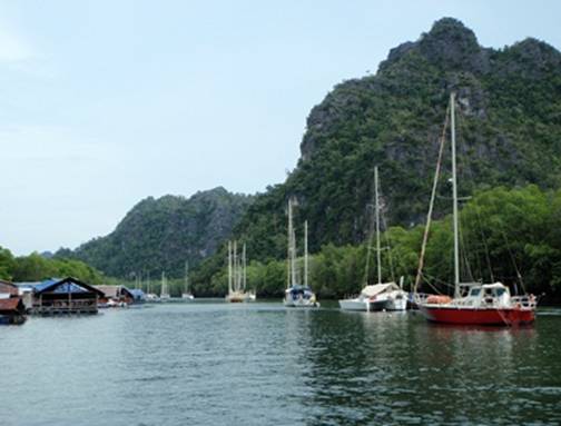 PA290217 Kilim Karst Geoforest Park.JPG