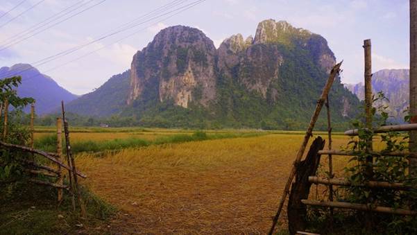 m_17 Cut rice field and mountains.jpg
