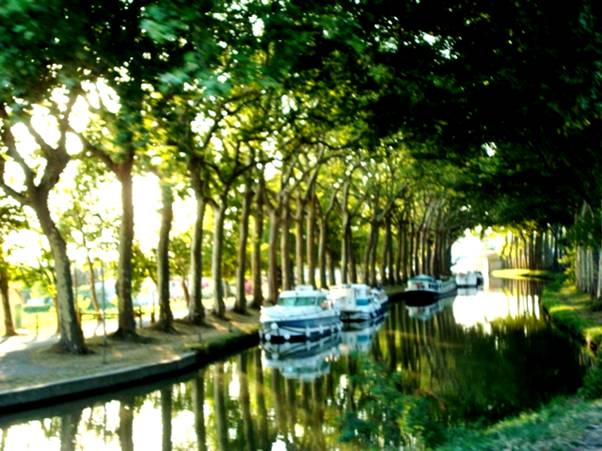 DSC03771 Reflections on Canal du Midi.jpg