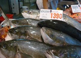 Kingfish in Fish Market.jpg