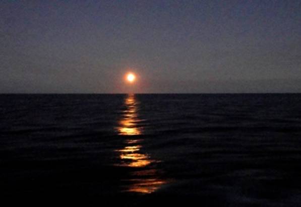 Moonrise in calm seas.jpg