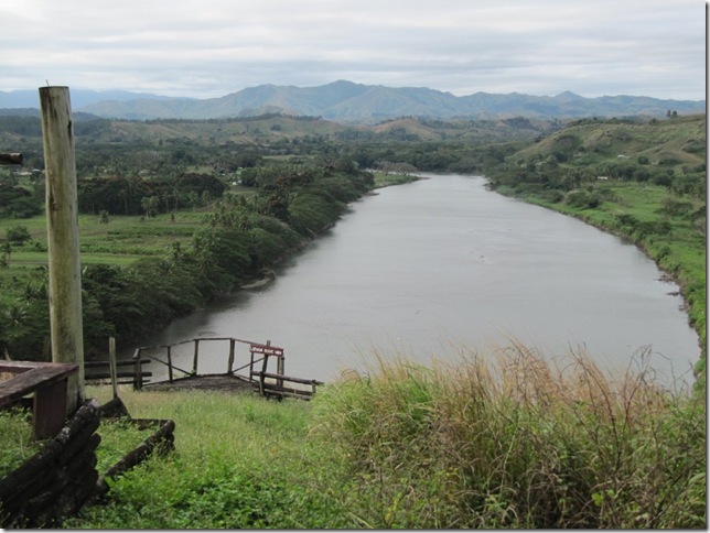 mini-Sigatoka 048