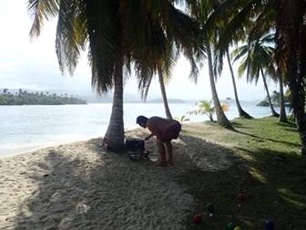 A palm tree on a beach near a body of water

Description automatically generated