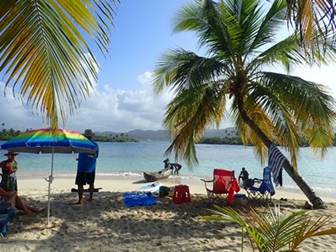 A group of people lying on a sandy beach next to a palm tree

Description automatically generated