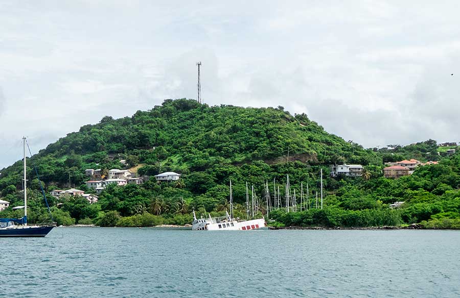 Mystic of Holyhead (successor to Lynn Rival) - Gorgeous Grenada