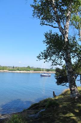 m_Jewel Island, Casco Bay 8.jpg