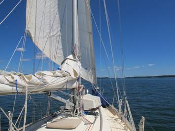 m_Sailing up the St George River 8.jpg