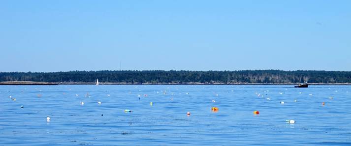 m_Sailing up the St George River 1.jpg