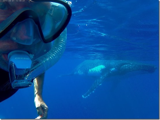 Whale selfie