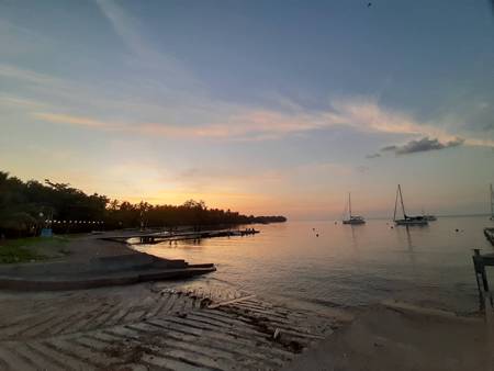 A body of water with boats in it and trees around it

Description automatically generated with medium confidence