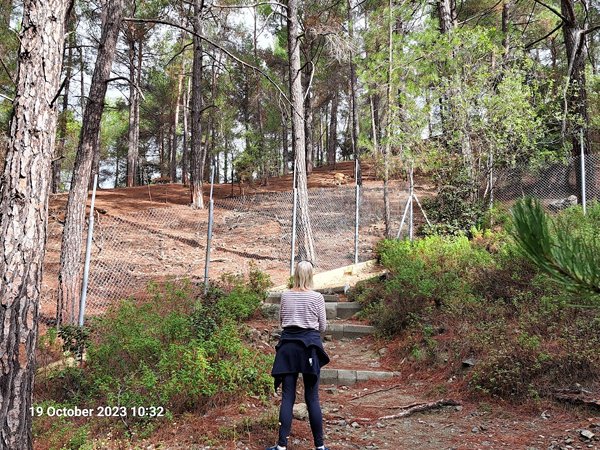 A person standing on a path in the woods

Description automatically generated