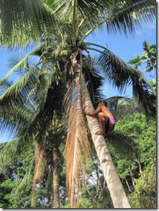 Samoa 450