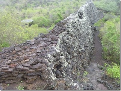 m_Galapagos 2014 042