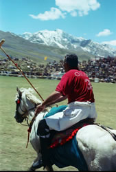 Man and Horse fused into one sentient being, there only purpose to reach the ball ahead