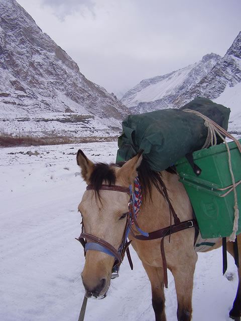 Kabul making a good go of it, despite the snow