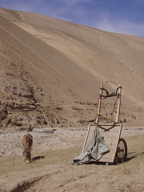 A donkey grazing by his cart in the Kunlun Shan mountains