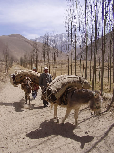 A family on the move between villages high in the Kunlun Shan